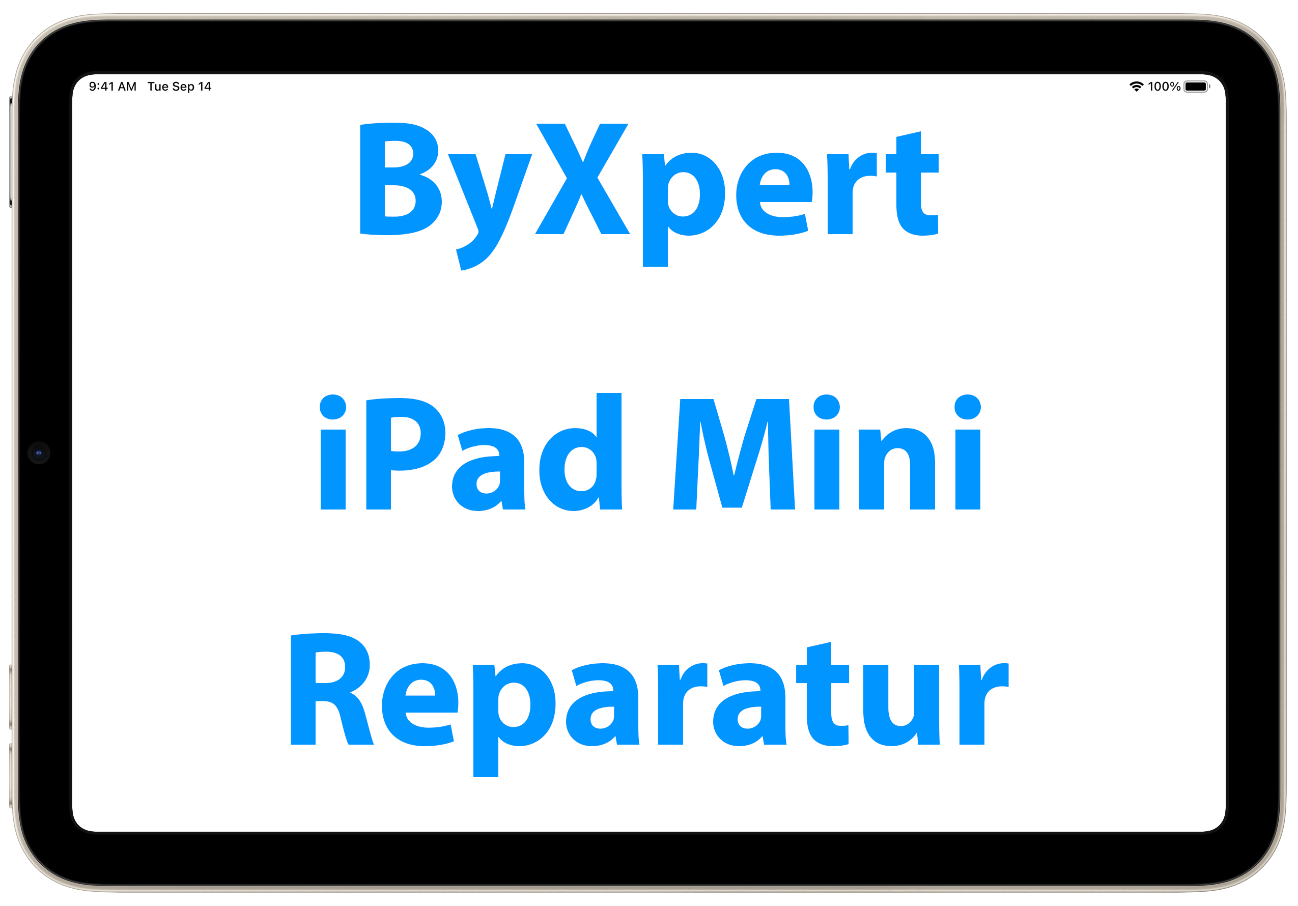 iPad Mini Reparatur - ByXpert Bremen