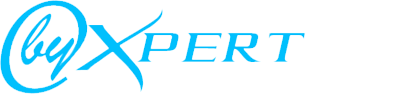 ByXpert Logo